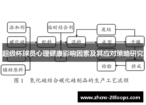 超级杯球员心理健康影响因素及其应对策略研究