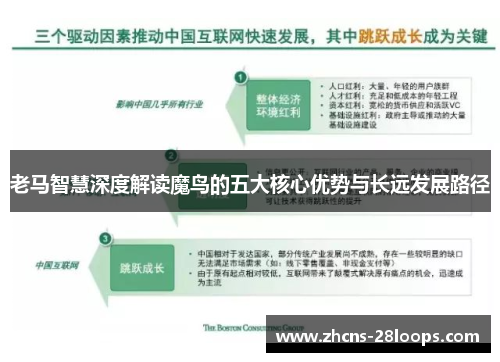 老马智慧深度解读魔鸟的五大核心优势与长远发展路径 老马智慧深度解读魔鸟的五大核心优势与长远发展路径