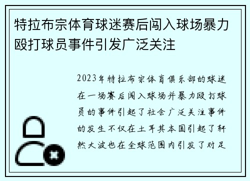 特拉布宗体育球迷赛后闯入球场暴力殴打球员事件引发广泛关注 特拉布宗体育球迷赛后闯入球场暴力殴打球员事件引发广泛关注